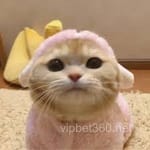 Avatar María José Valdés