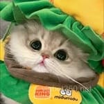 Avatar Monserrat Peña